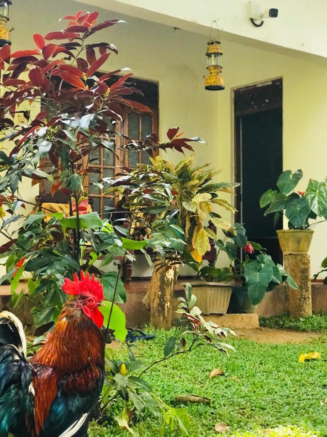 Sigiri Lakshan Home Stay Sigiriya Exterior photo