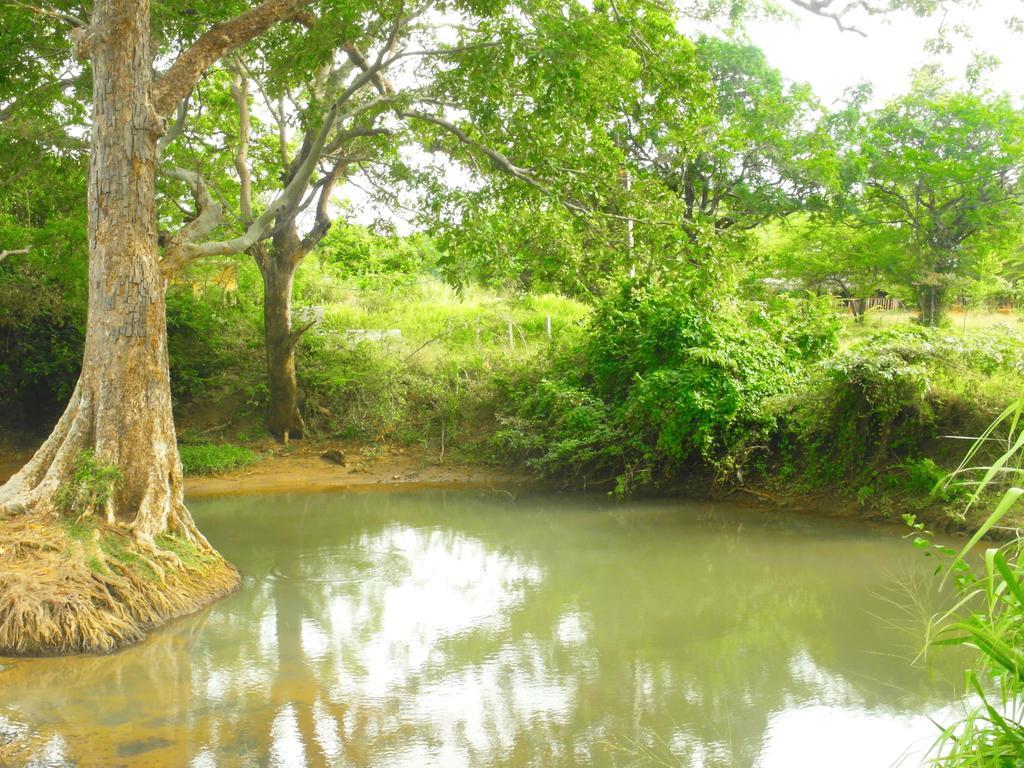 Sigiri Lakshan Home Stay Sigiriya Exterior photo